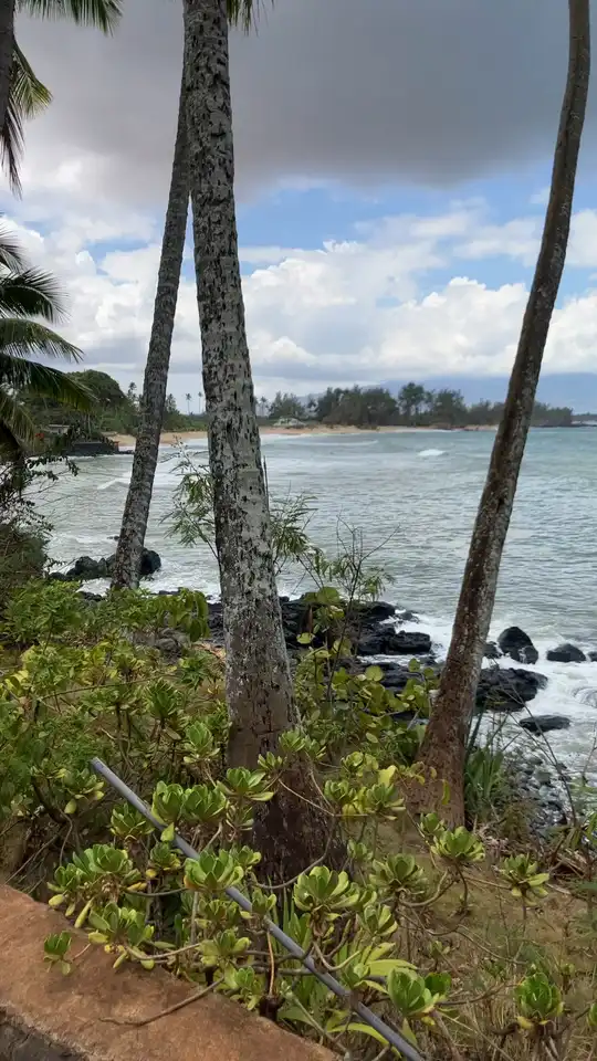 Photo of Paia