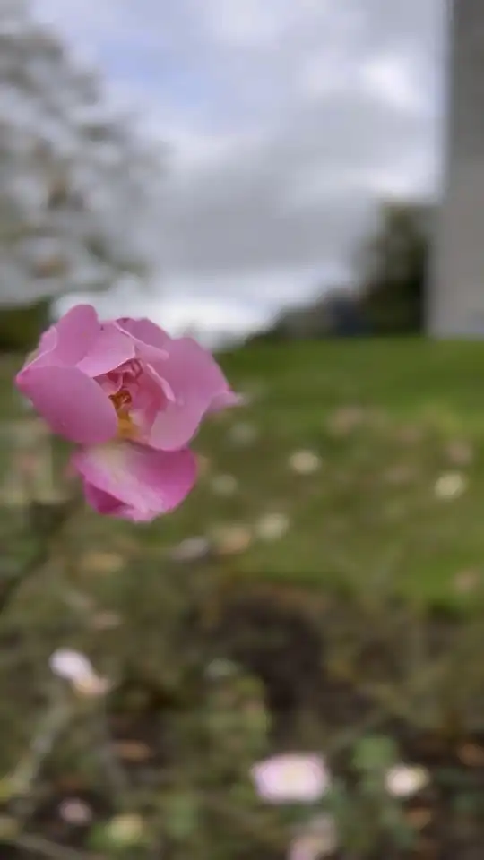Photo of Kilkenny
