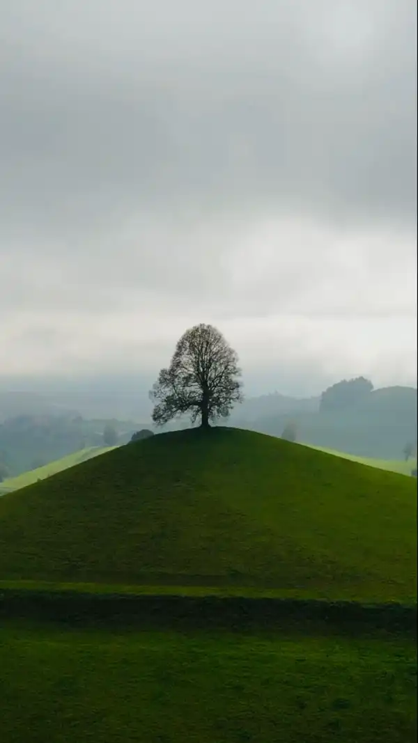 Zug