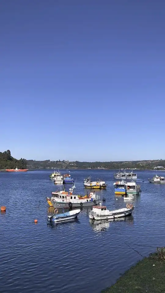 Photo of Dalcahue