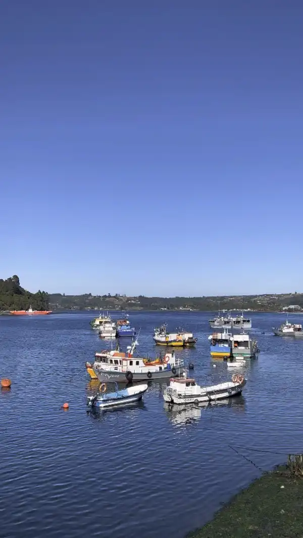 Dalcahue