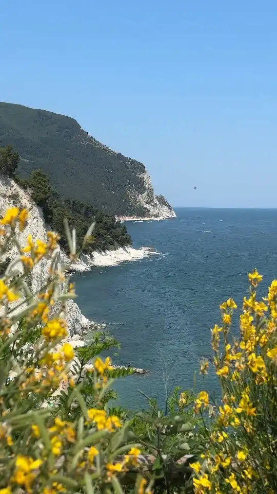 Photo of Numana