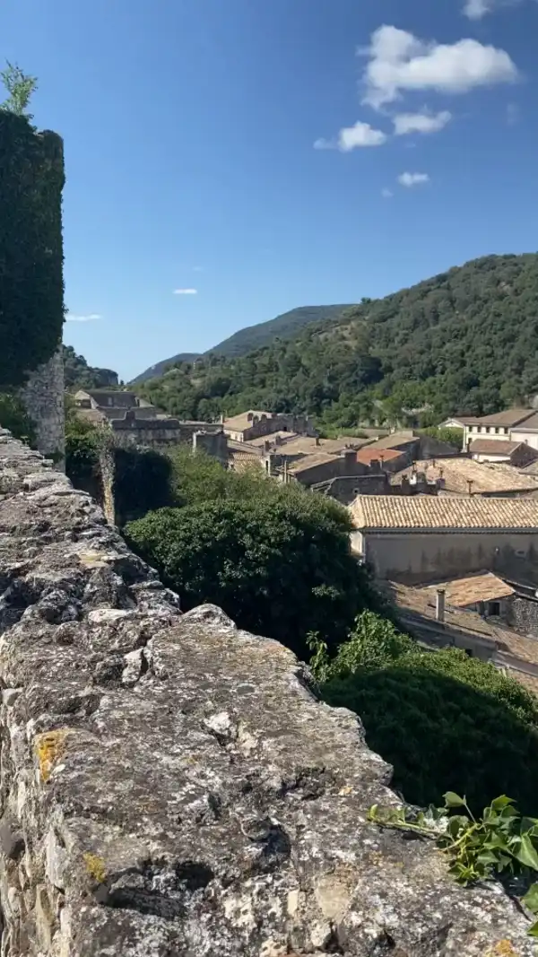 Viviers