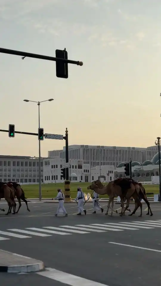 Photo of Doha