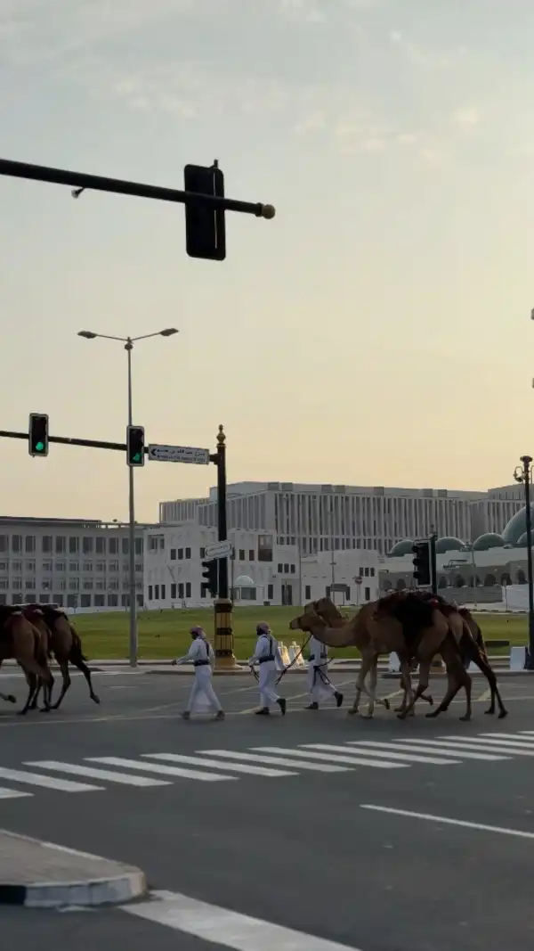 Doha