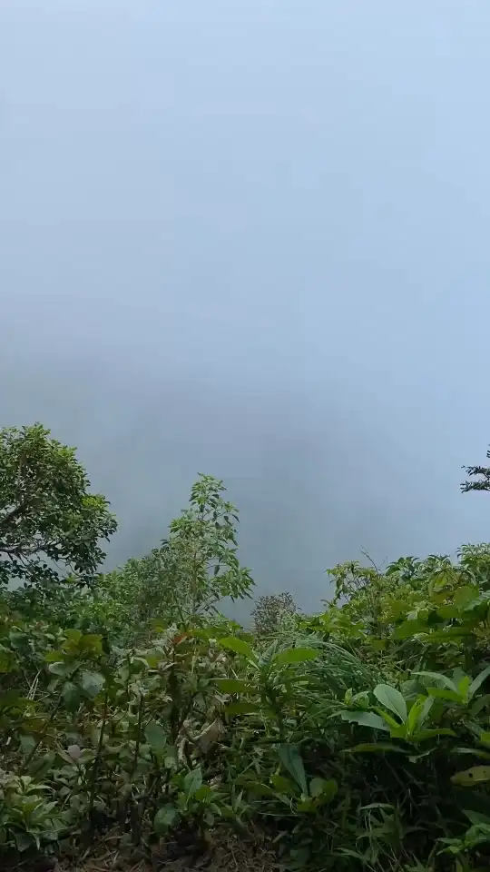 Photo of Monteverde