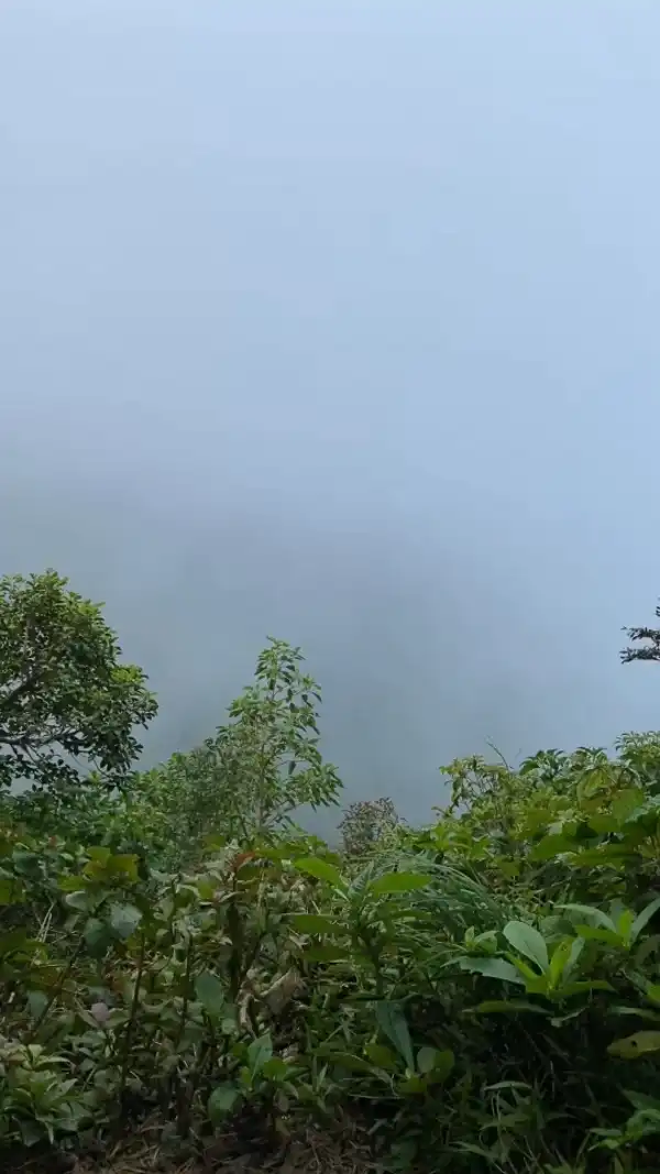 Monteverde