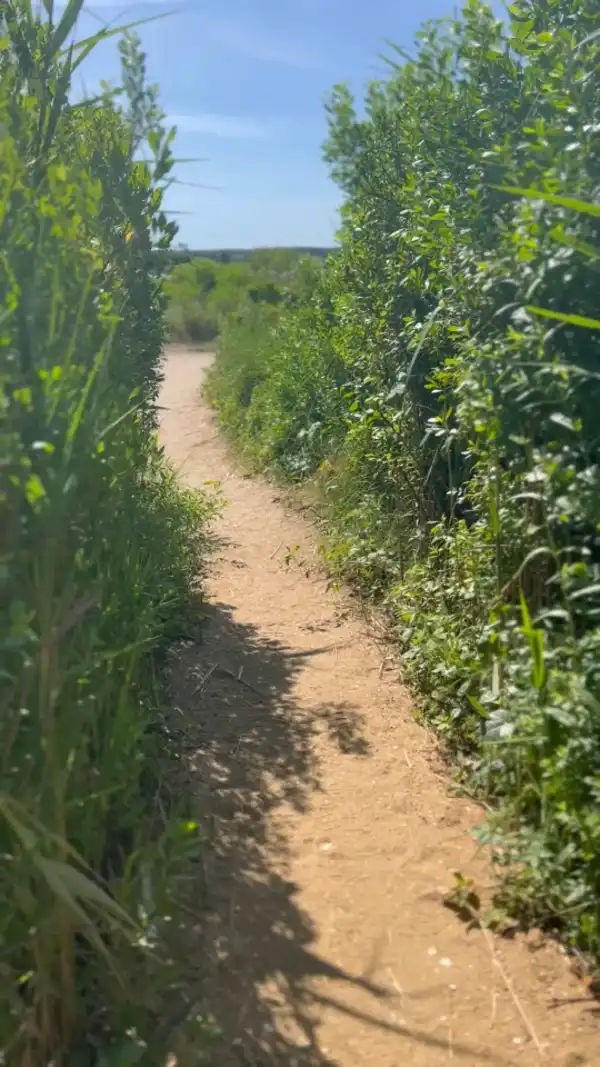 Edgartown