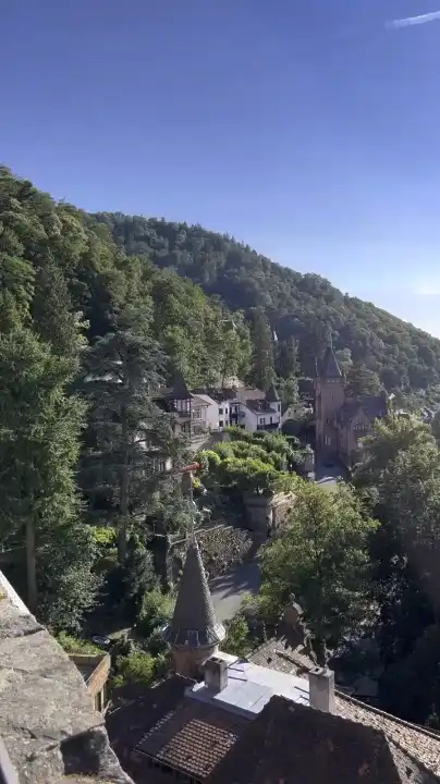 Photo of Heidelberg