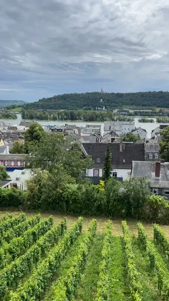 Photo of Rüdesheim am Rhein
