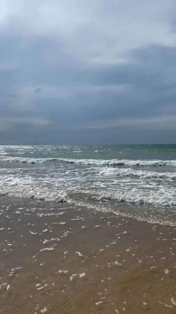 Bidart