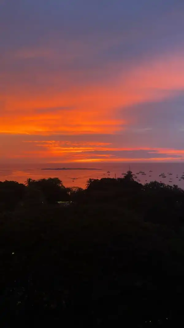 Tamarindo