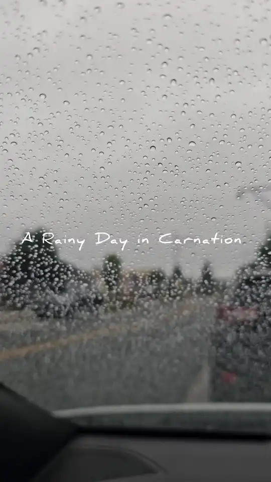 Photo of Carnation