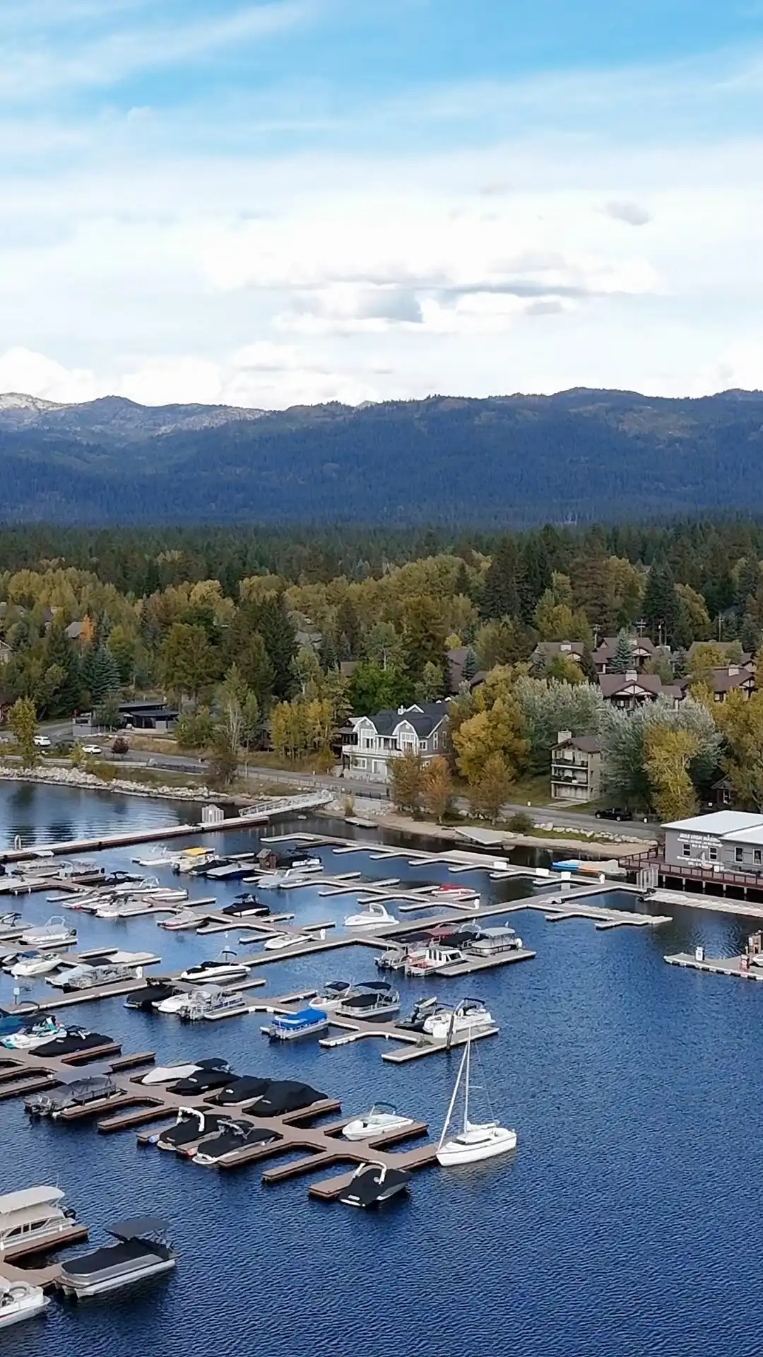McCall