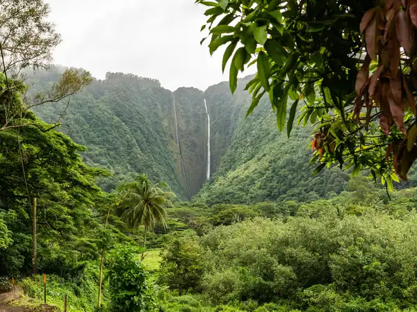 Photo of Island of Hawai'i