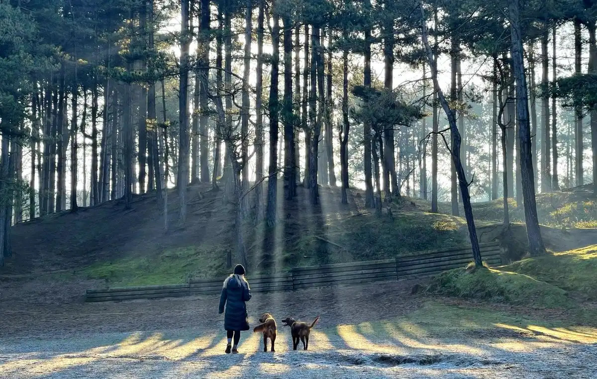 Formby