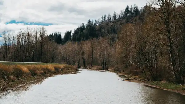Photo of Abbotsford
