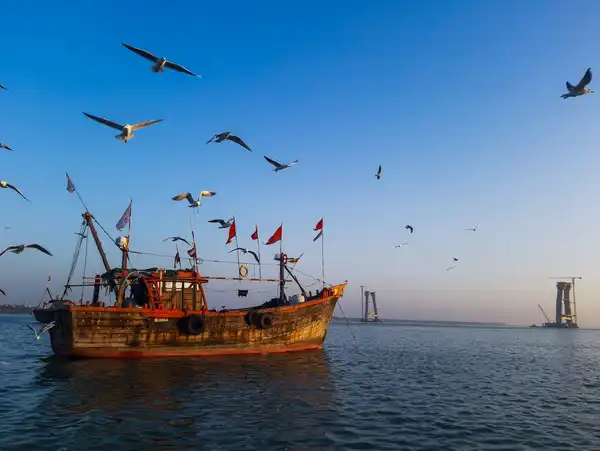 Photo of Dwarka