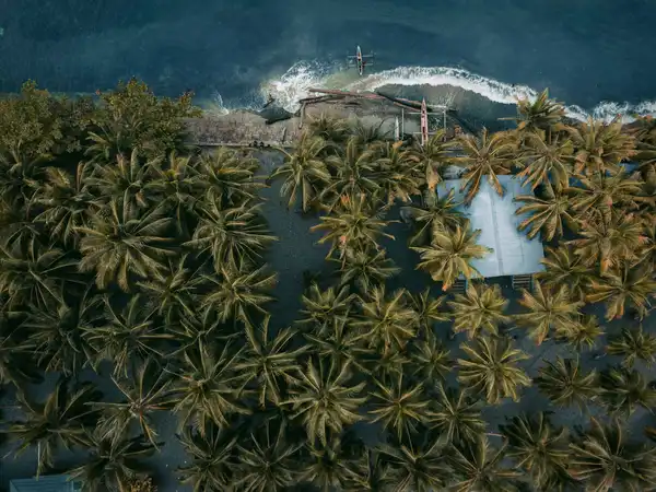 Photo of Papua New Guinea