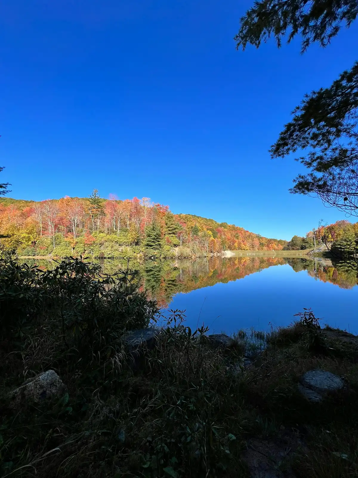 Beech Mountain