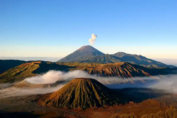 Photo of Java