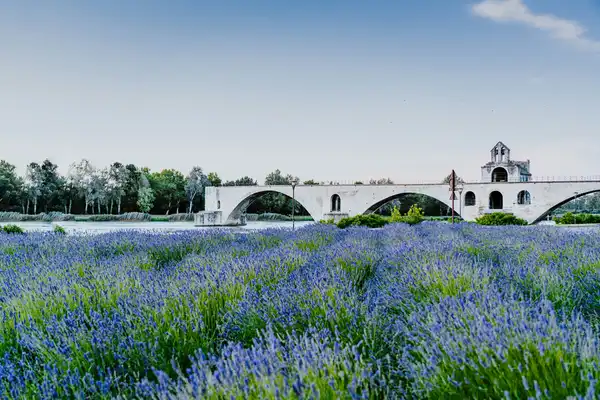 Photo of Avignon