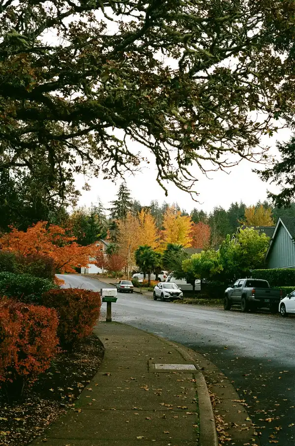 Photo of St. Helens