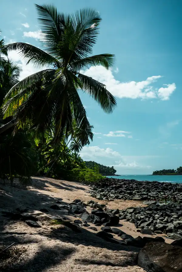 Photo of French Guiana