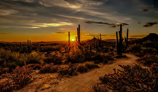 Photo of Scottsdale