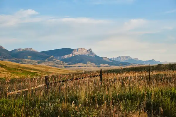 Photo of Montana