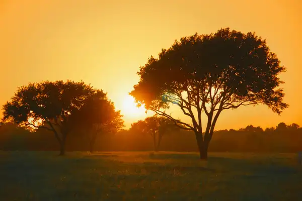 Photo of Tomball