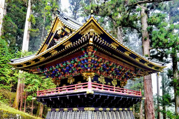 Photo of Nikko