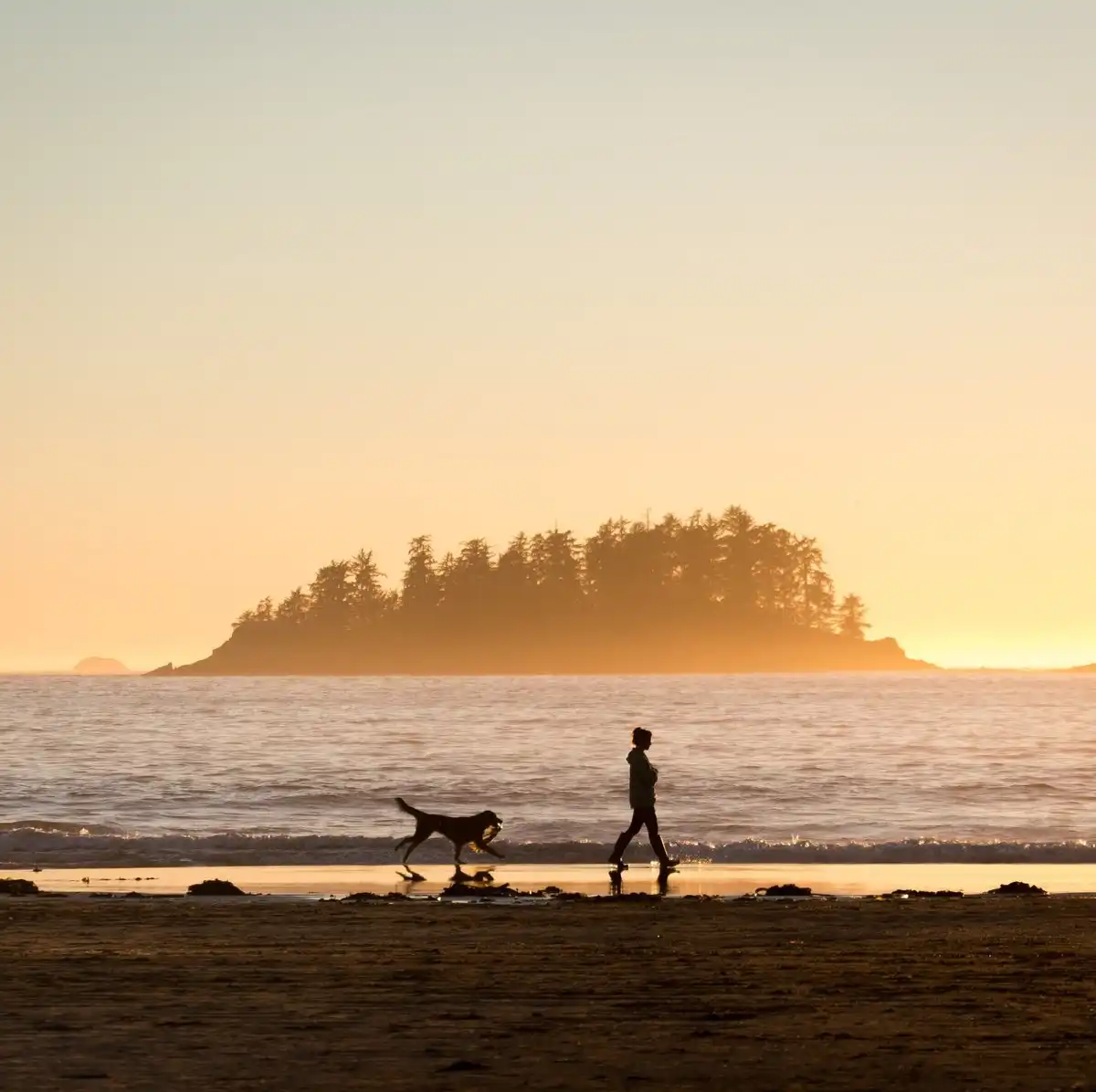 Tofino