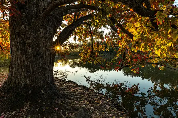 Photo of Naperville