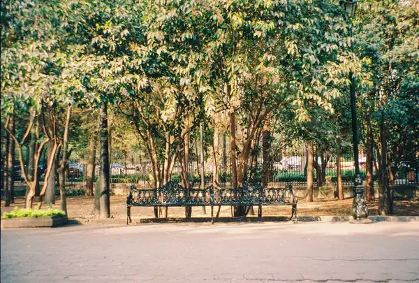 Photo of Chamblee