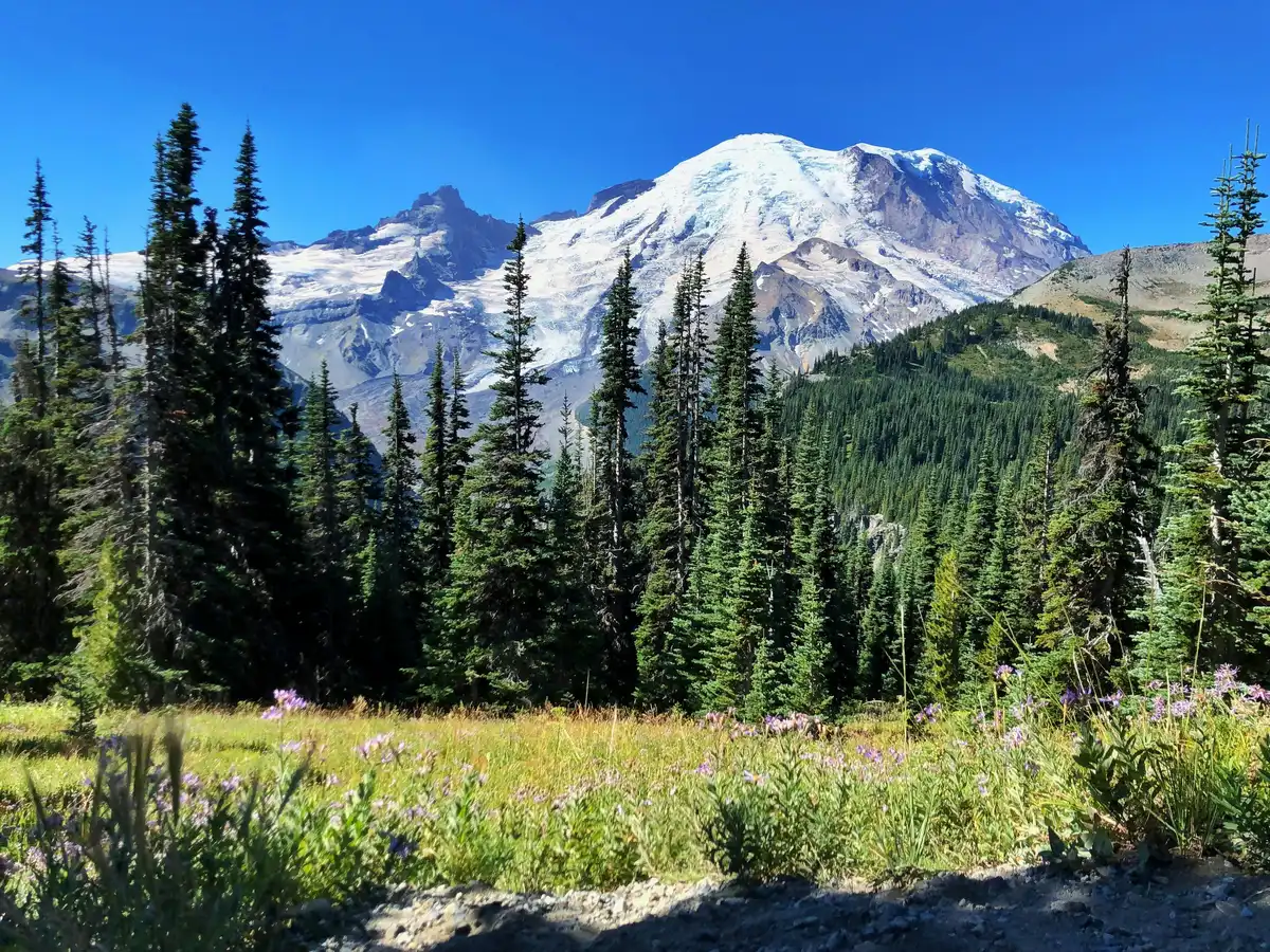Mount Rainier National Park
