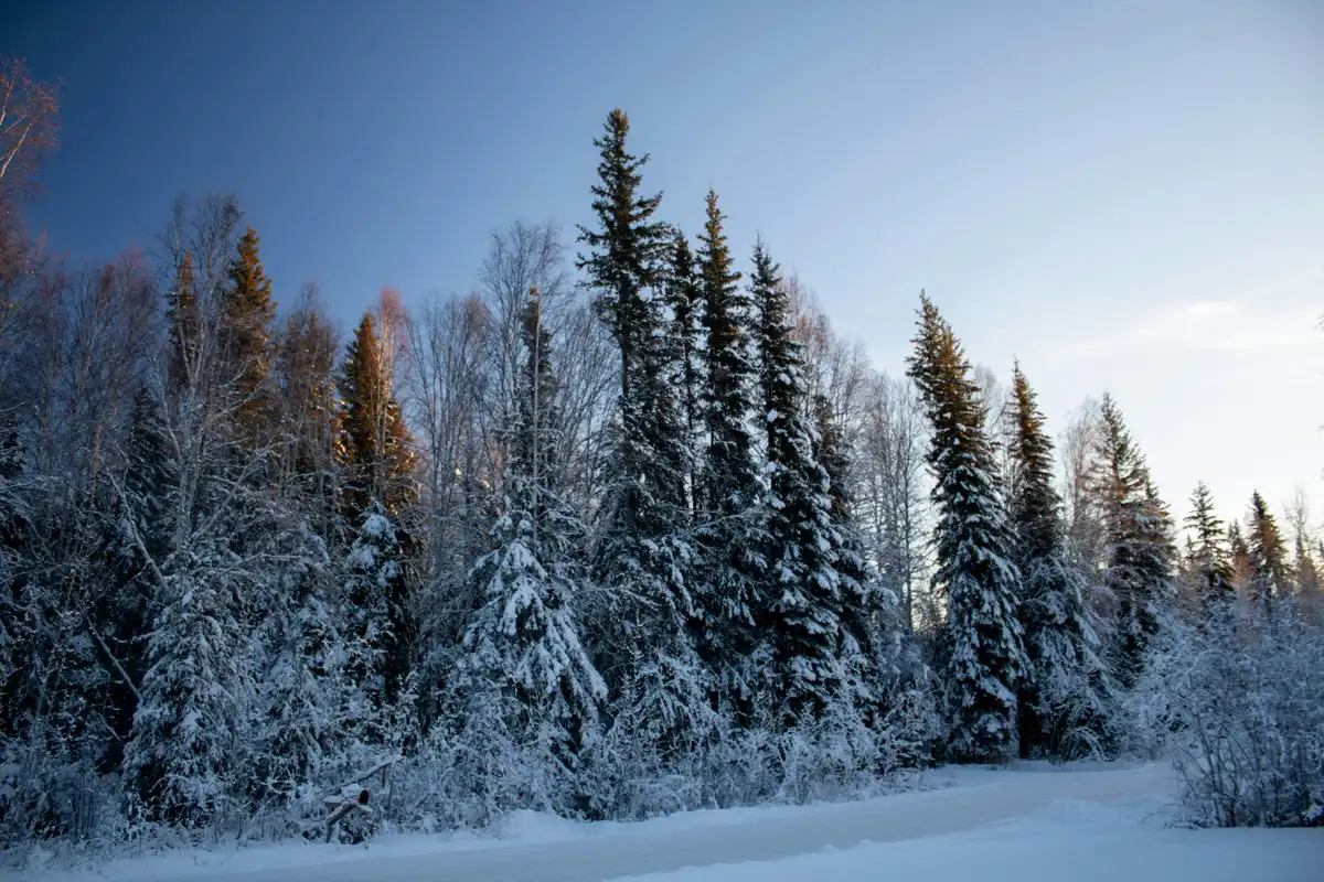 North Pole