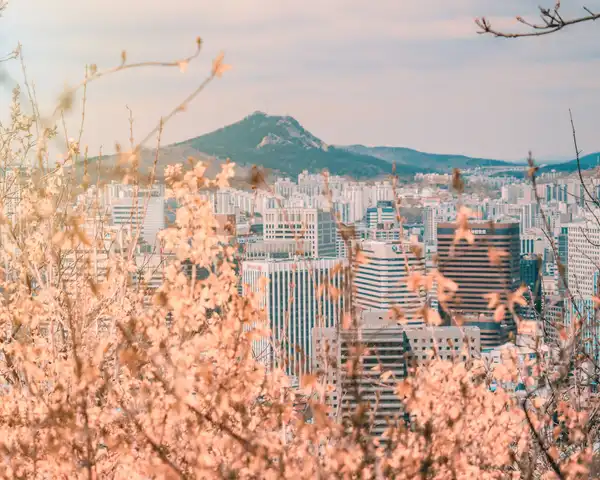 Photo of Seoul