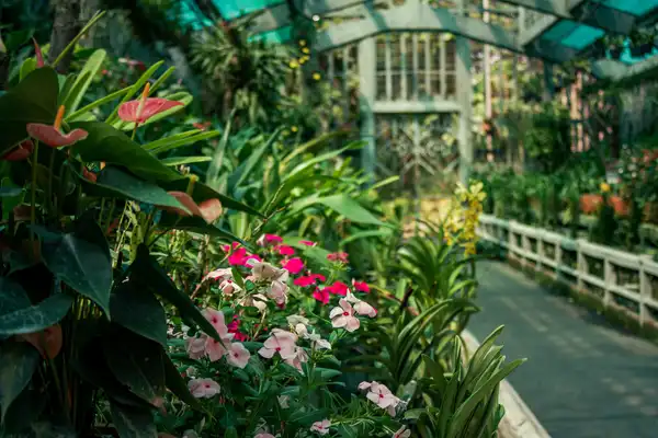 Photo of Garden District
