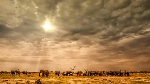 Photo of Botswana