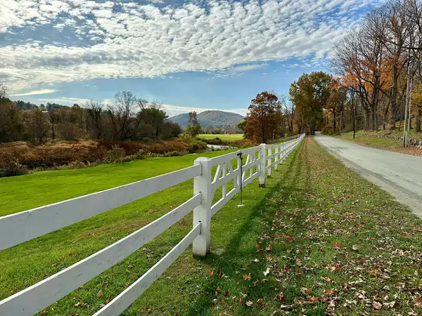 Photo of Woodstock