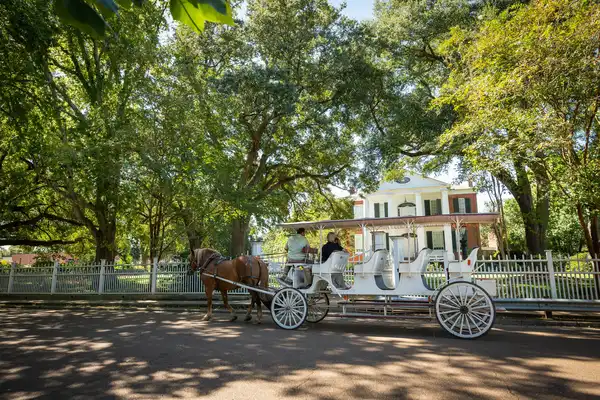 Photo of Natchez