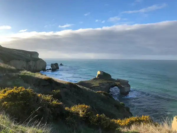 Photo of Dunedin