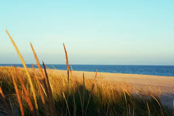 Photo of East Hampton