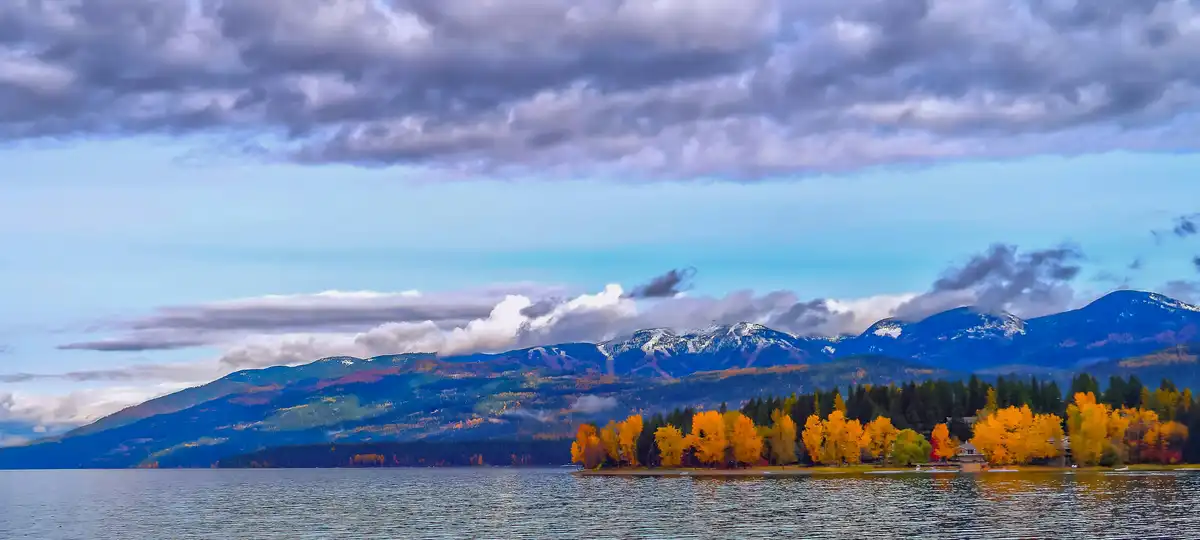 Whitefish