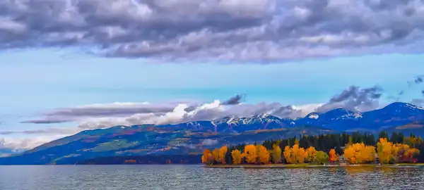 Photo of Whitefish
