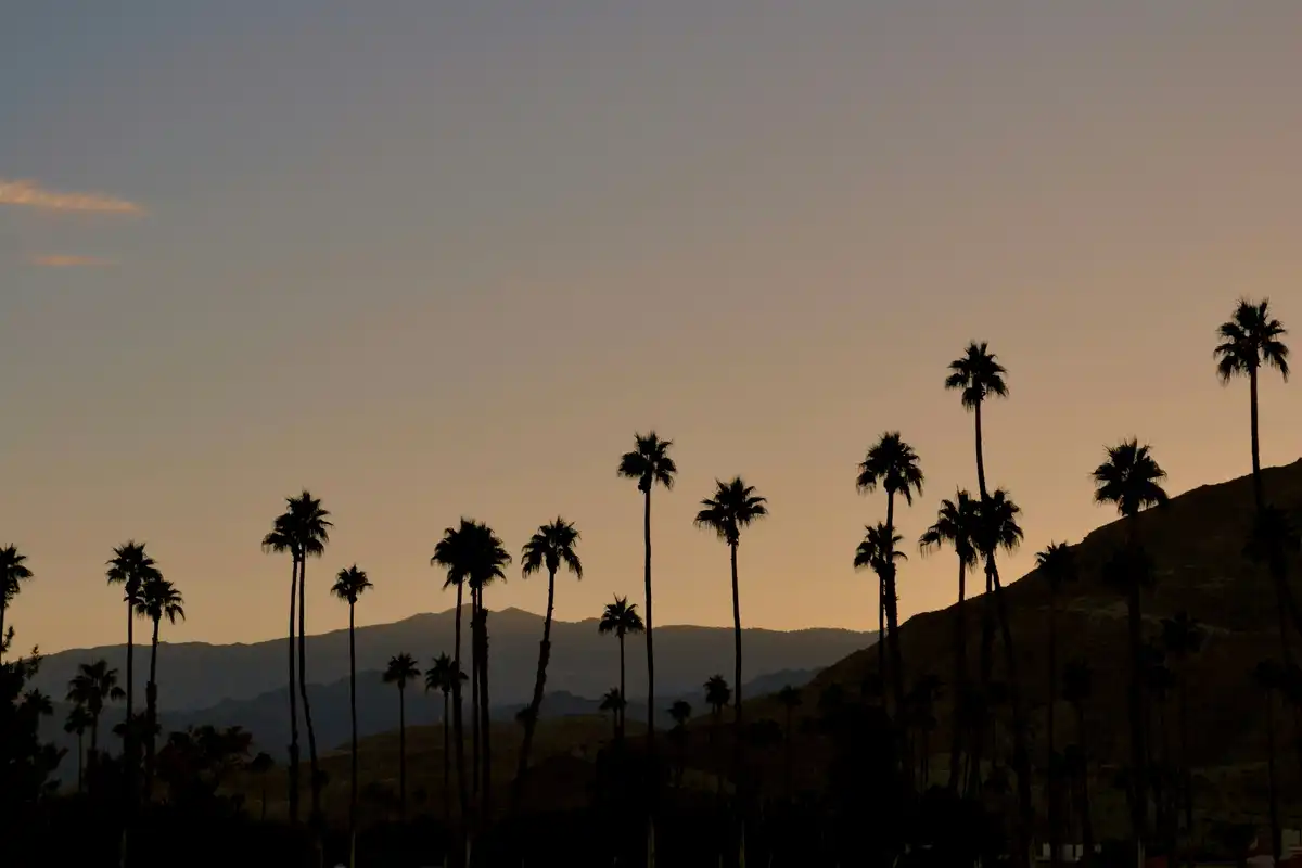Indio
