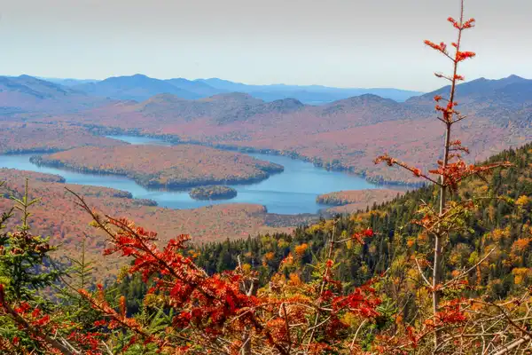 Photo of Adirondack