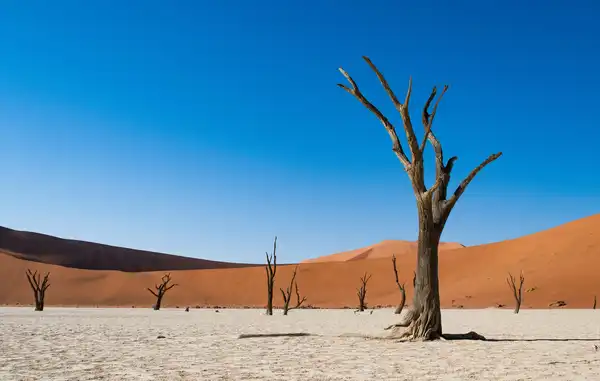 Photo of Namib-Naukluft National Park