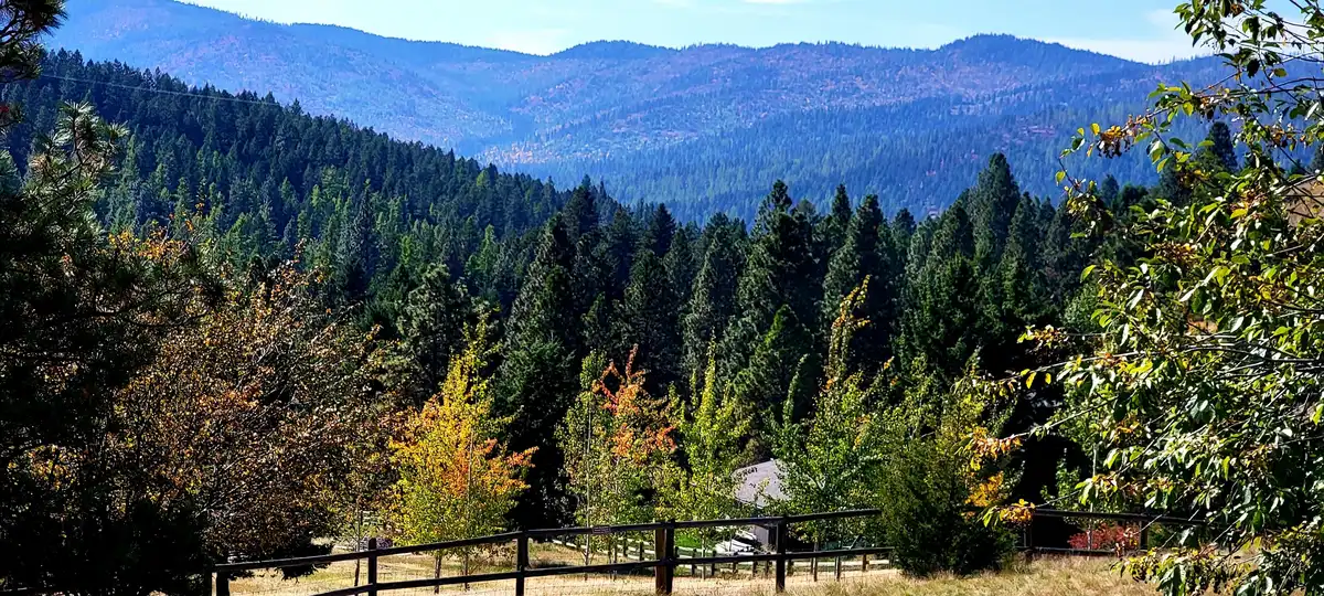Kalispell
